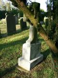 image of grave number 227517